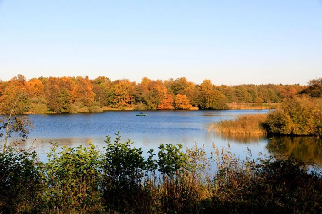 Вілла Chalet 'T Rijsterbos Op Camping Met Zwembad! Екстер'єр фото